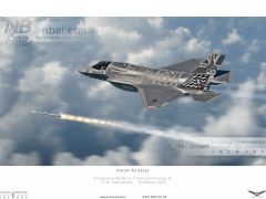 'Strive to Excel' (Artistic Impression) 17(R) Squadron F-35-B Lightning II firing an AMRAAM missile